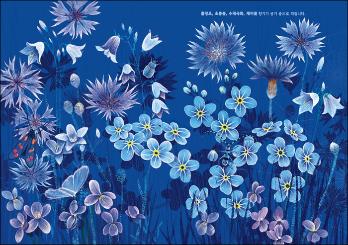 도서 푸른시간 내지 파란배경 파랑꽃